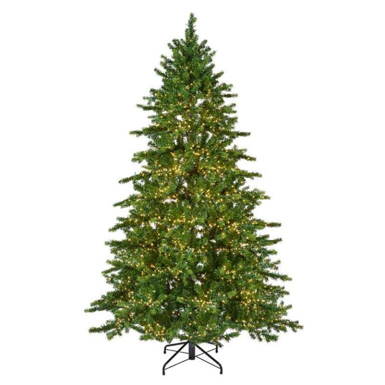 8720725850163 1 Galloway Spruce Led 6Ft.jpg
